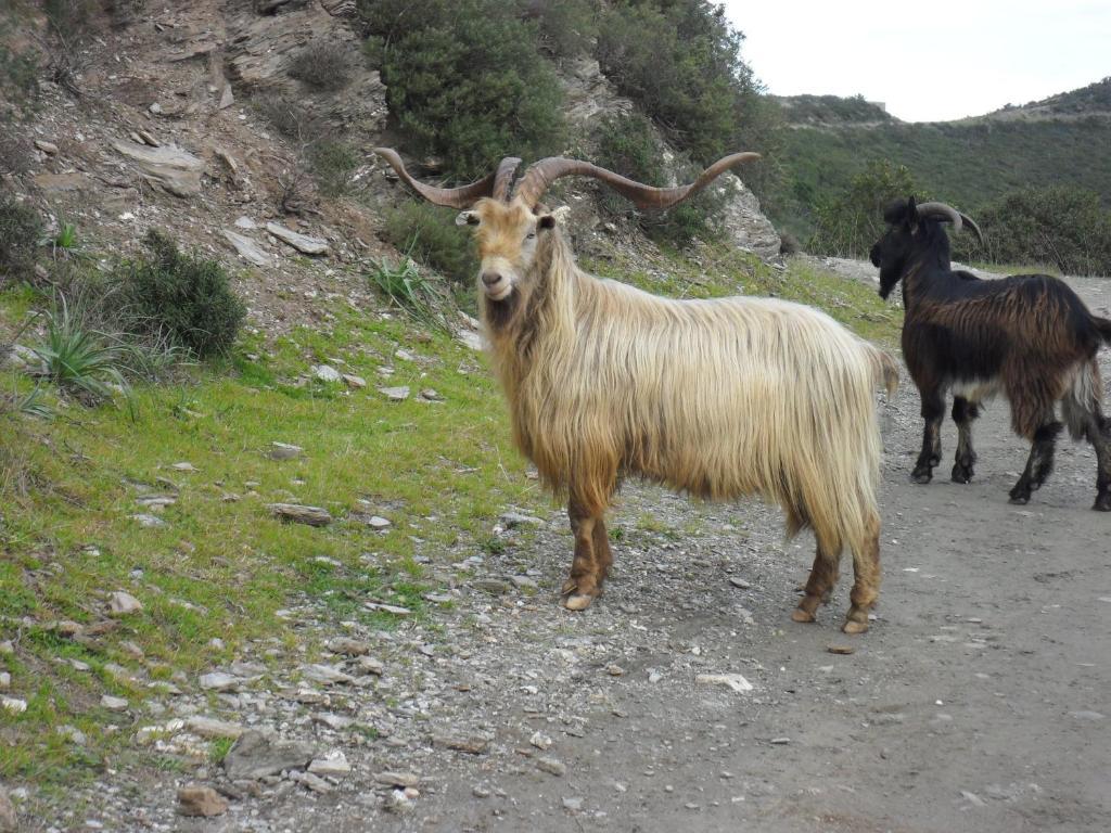 Gite U Licetu A La Campagne Oreta Esterno foto
