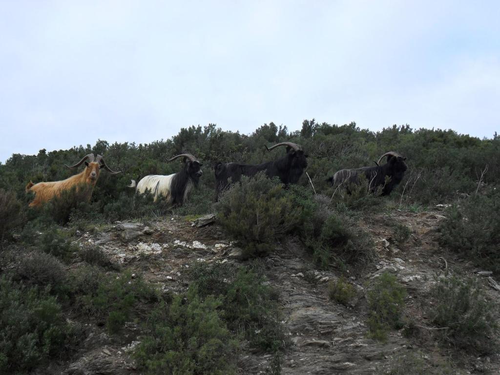 Gite U Licetu A La Campagne Oreta Esterno foto