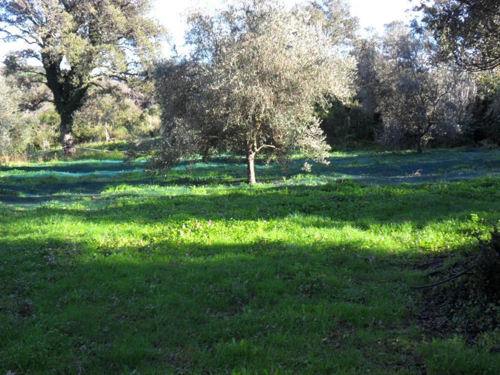 Gite U Licetu A La Campagne Oreta Esterno foto